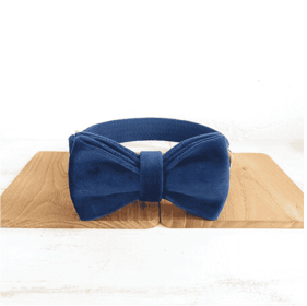Bow pet collar large and small pet traction collar dog chain (Option: Bow Tie plus Collar-M)